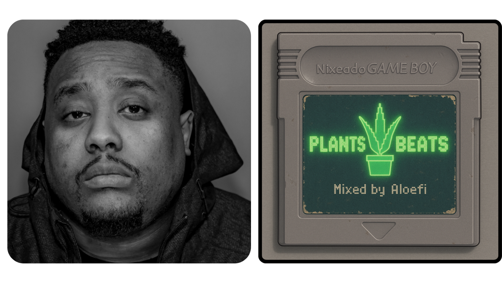 Rob Bell Plants and Beats Podcast