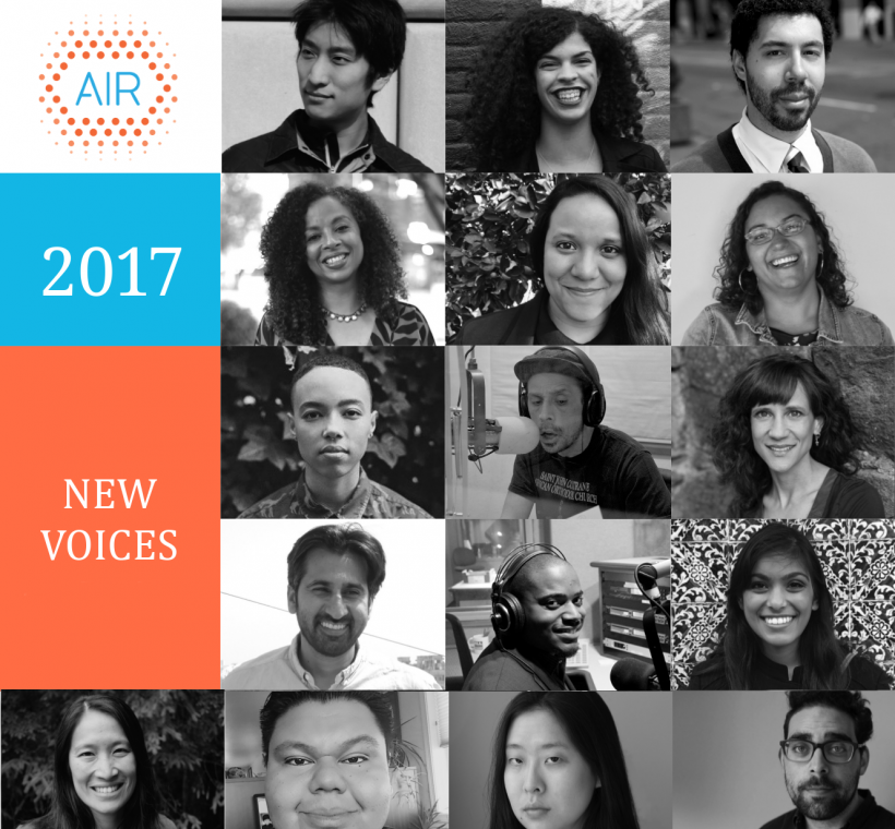 AIR's 2017 New Voices